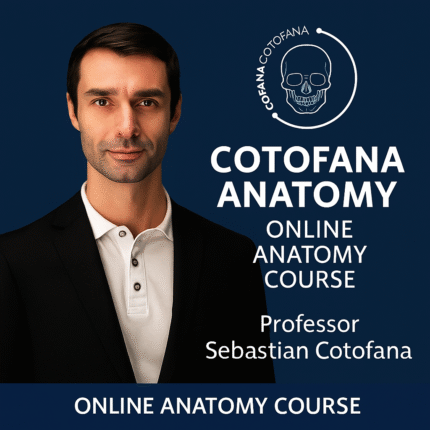 Cotofana Anatomy Online Anatomy Courses (Professor Cotofana Anatomy Review)